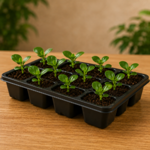 Seedling Tray