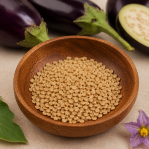 Brinjal Seeds