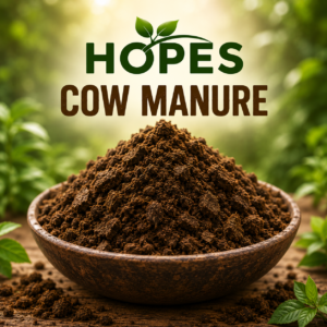 Cow Manure